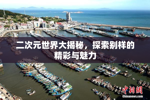 二次元世界大揭秘，探索别样的精彩与魅力
