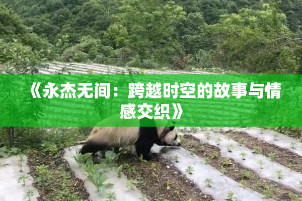 《永杰无间：跨越时空的故事与情感交织》