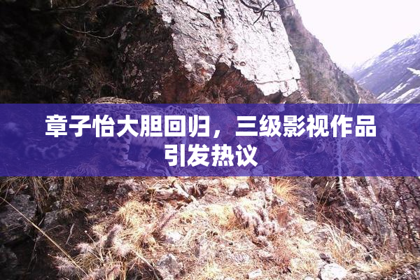 章子怡大胆回归，三级影视作品引发热议