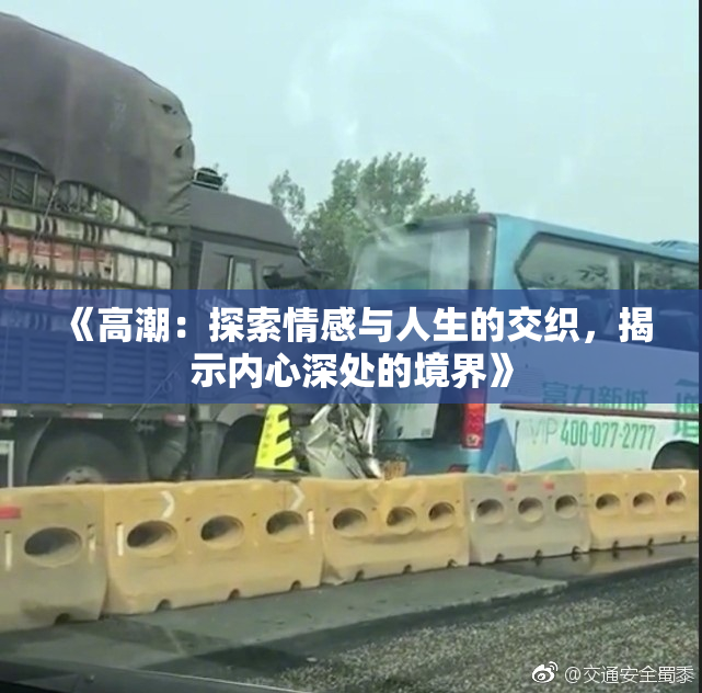 《高潮：探索情感与人生的交织，揭示内心深处的境界》