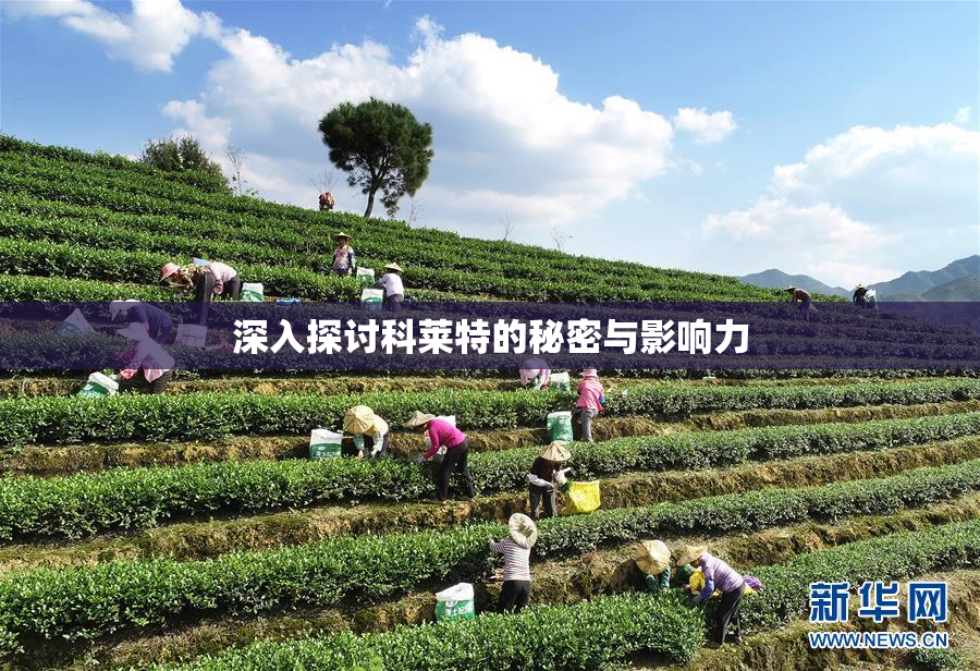 深入探讨科莱特的秘密与影响力
