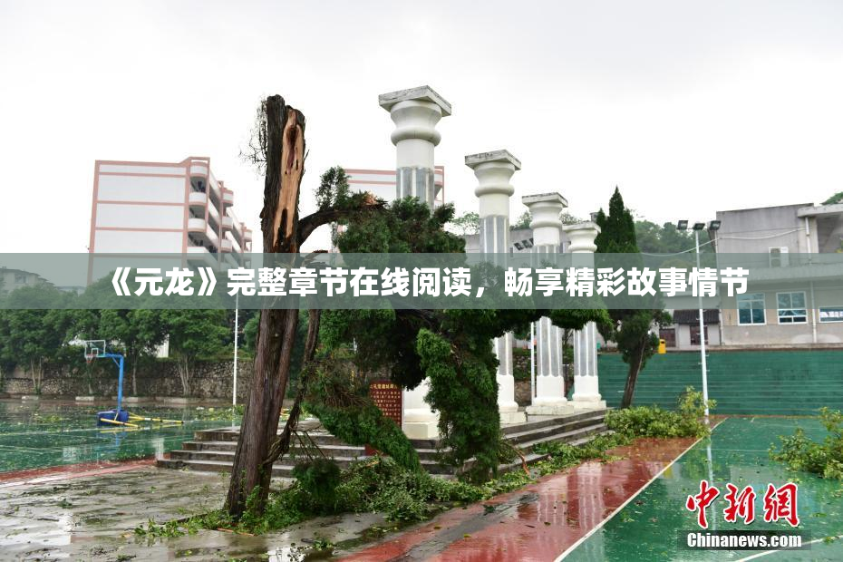 《元龙》完整章节在线阅读，畅享精彩故事情节