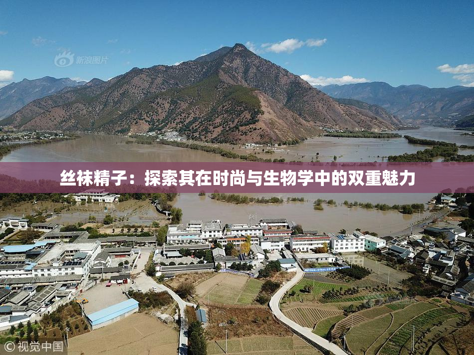 丝袜精子：探索其在时尚与生物学中的双重魅力