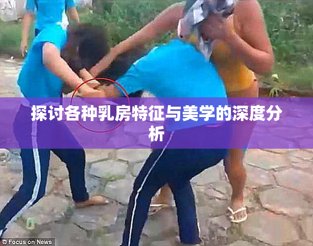 探讨各种乳房特征与美学的深度分析