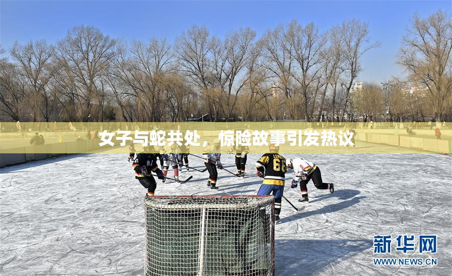 女子与蛇共处，惊险故事引发热议
