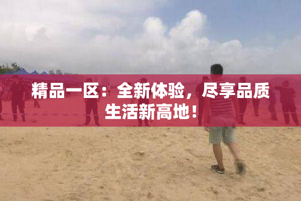 精品一区：全新体验，尽享品质生活新高地！