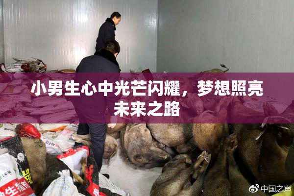 小男生心中光芒闪耀，梦想照亮未来之路