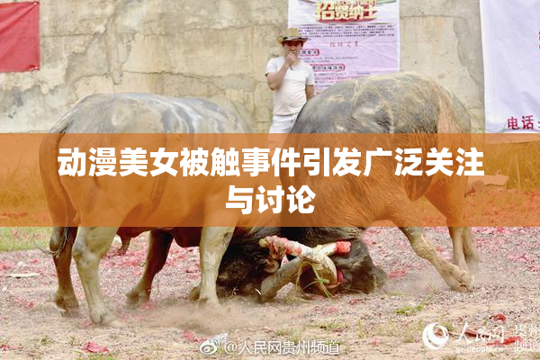 动漫美女被触事件引发广泛关注与讨论