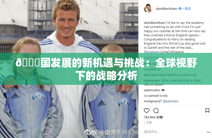 🔞国发展的新机遇与挑战：全球视野下的战略分析
