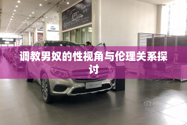 调教男奴的性视角与伦理关系探讨