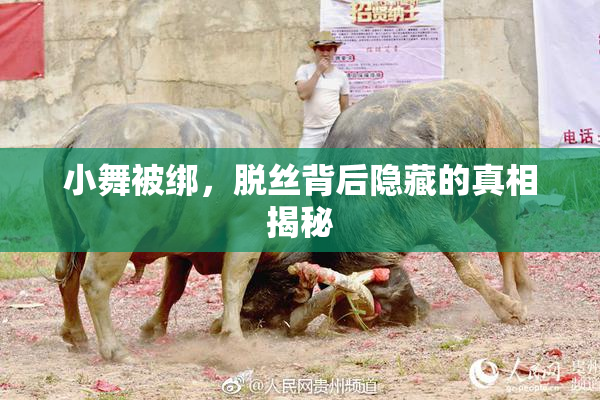 小舞被绑，脱丝背后隐藏的真相揭秘