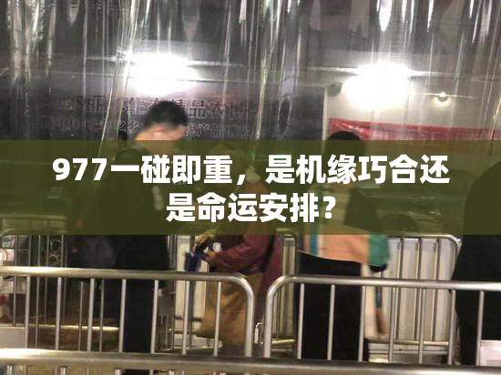 977一碰即重，是机缘巧合还是命运安排？