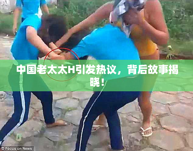 中国老太太H引发热议，背后故事揭晓！