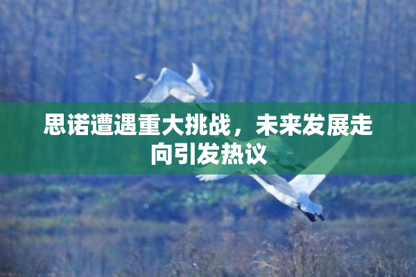思诺遭遇重大挑战，未来发展走向引发热议