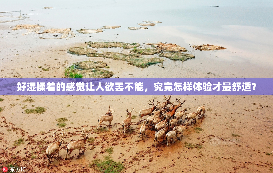 好湿揉着的感觉让人欲罢不能，究竟怎样体验才最舒适？