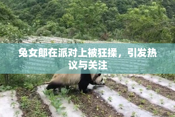 兔女郎在派对上被狂揉，引发热议与关注