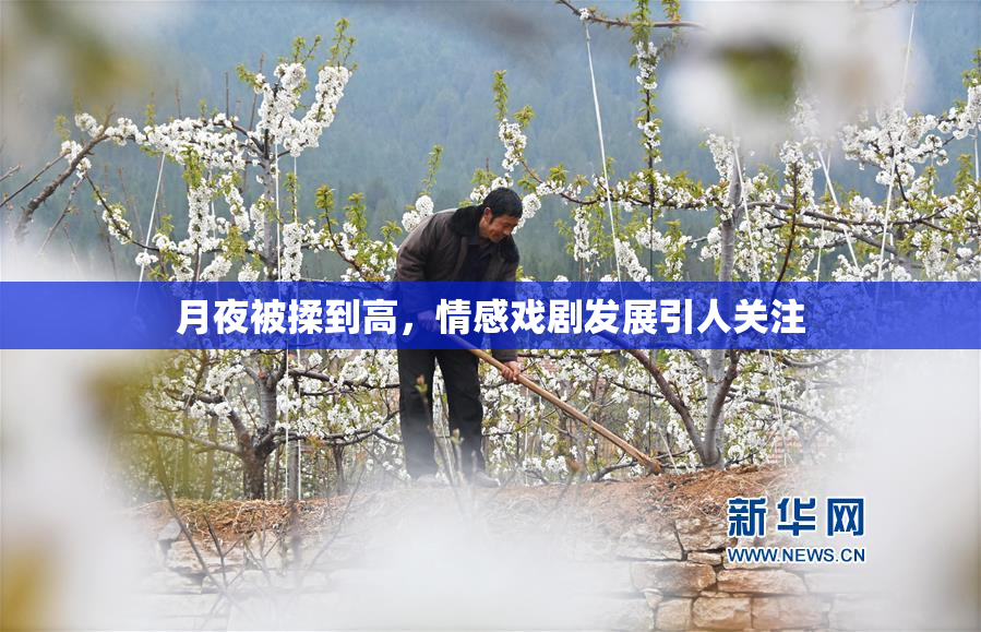 月夜被揉到高，情感戏剧发展引人关注
