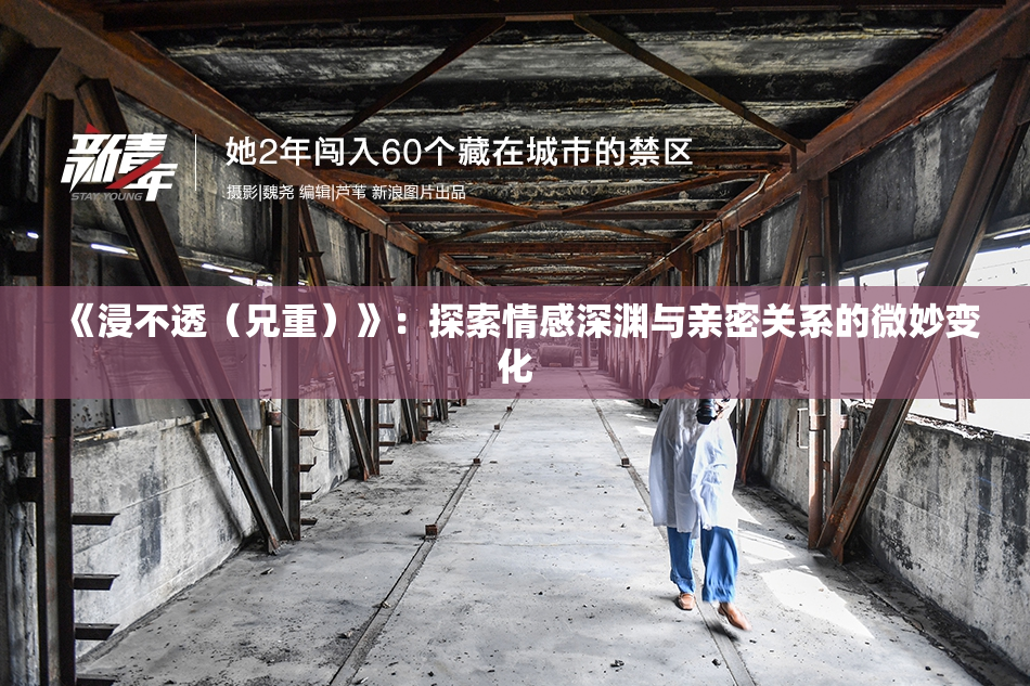 《浸不透（兄重）》：探索情感深渊与亲密关系的微妙变化