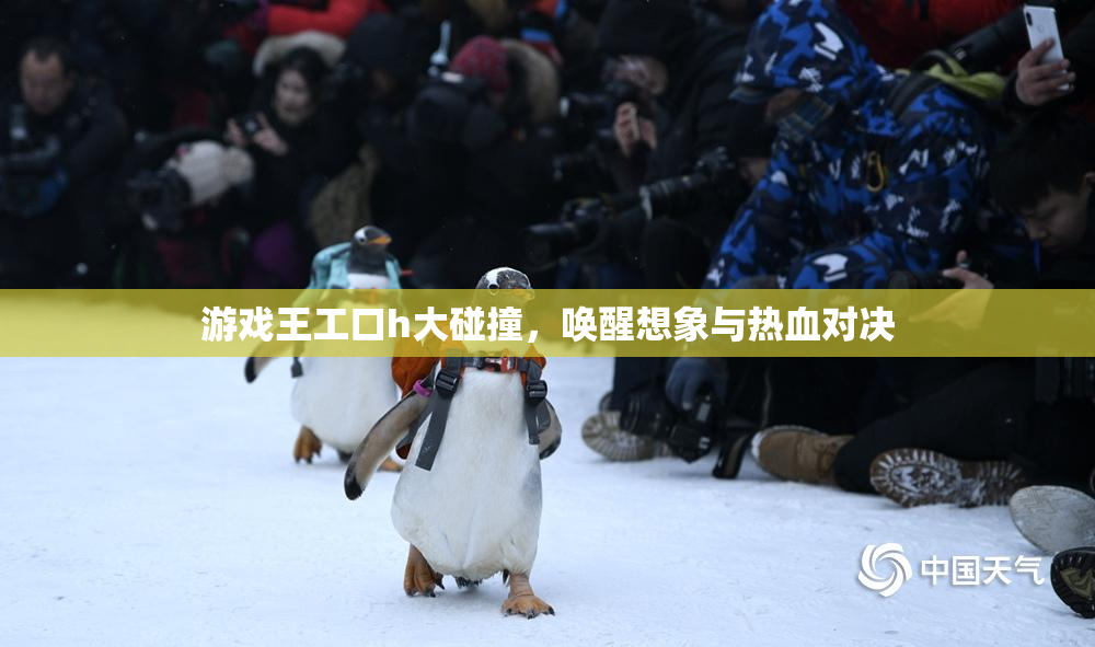 游戏王工口h大碰撞，唤醒想象与热血对决
