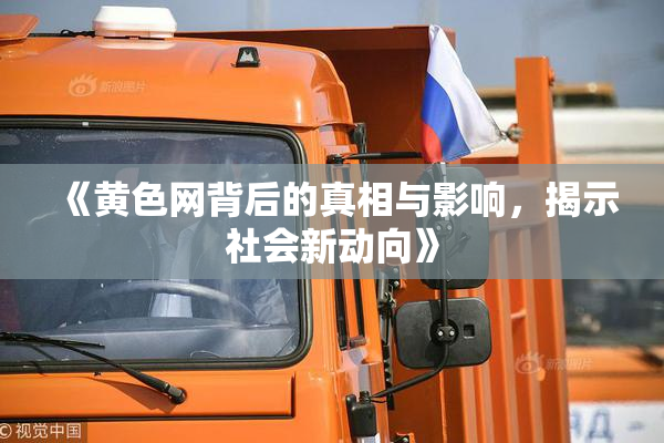 《黄色网背后的真相与影响，揭示社会新动向》
