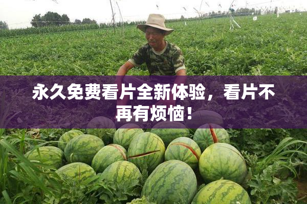 永久免费看片全新体验，看片不再有烦恼！