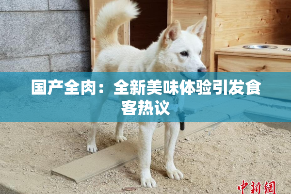 国产全肉：全新美味体验引发食客热议