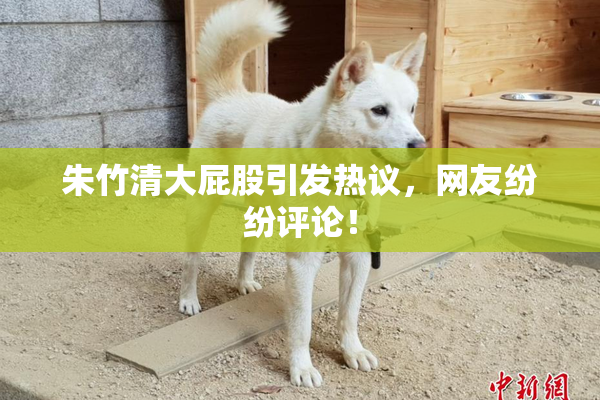 朱竹清大屁股引发热议，网友纷纷评论！