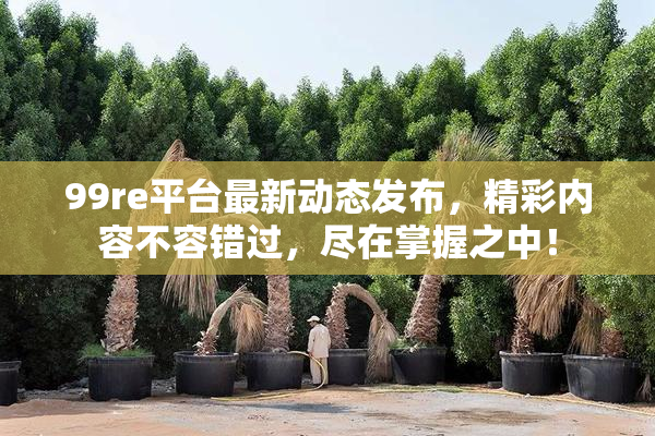 99re平台最新动态发布，精彩内容不容错过，尽在掌握之中！