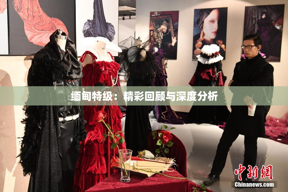 缅甸特级：精彩回顾与深度分析