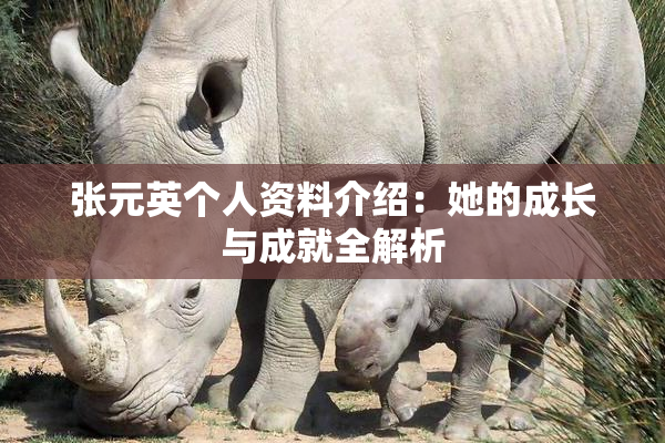 张元英个人资料介绍：她的成长与成就全解析