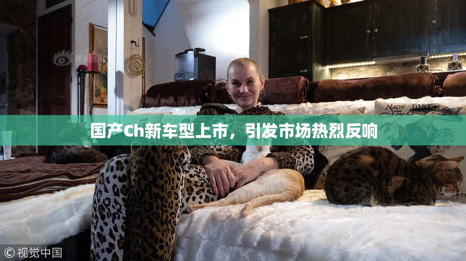 国产Ch新车型上市，引发市场热烈反响