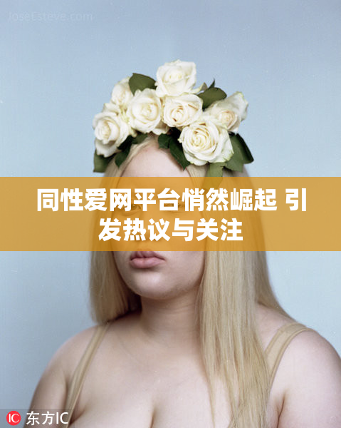 同性爱网平台悄然崛起 引发热议与关注