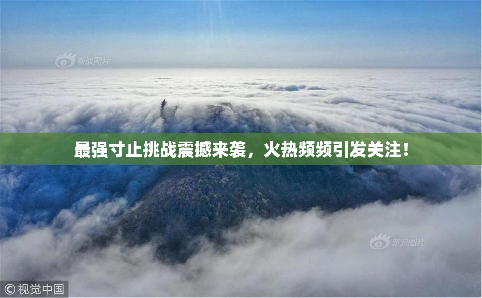 最强寸止挑战震撼来袭，火热频频引发关注！