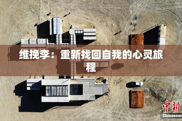 维挽李：重新找回自我的心灵旅程