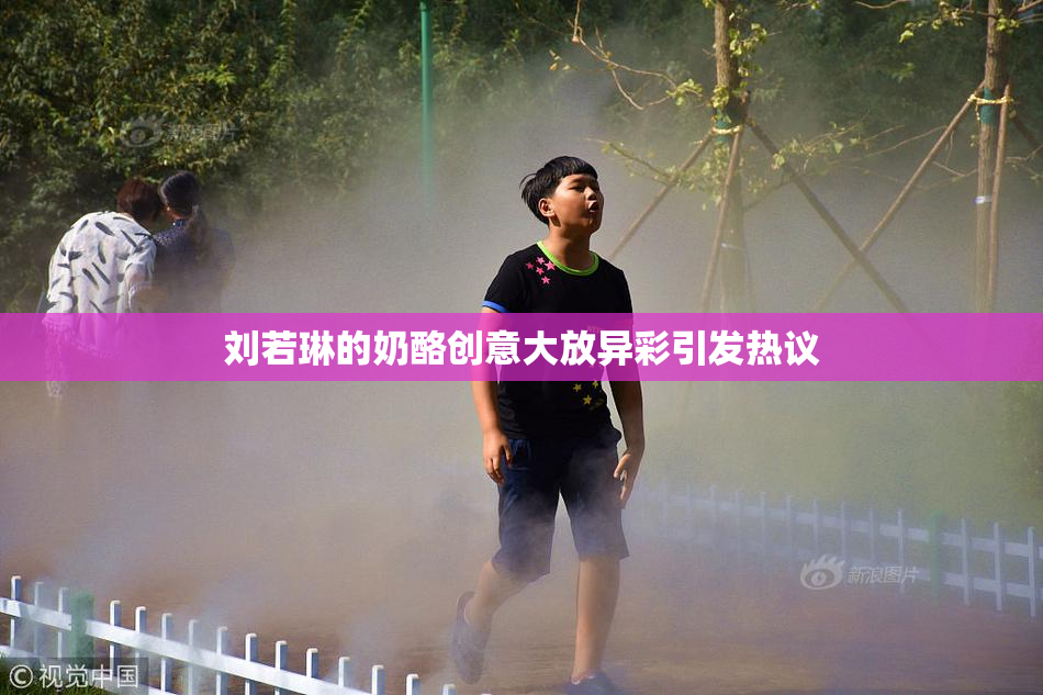 刘若琳的奶酪创意大放异彩引发热议