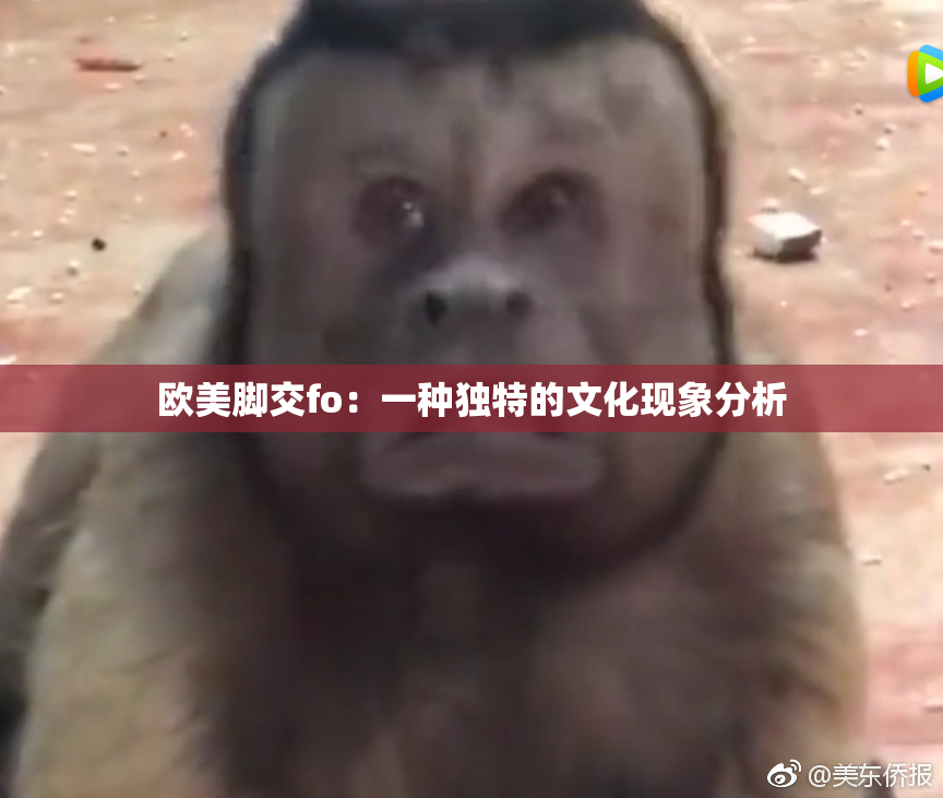 欧美脚交fo：一种独特的文化现象分析
