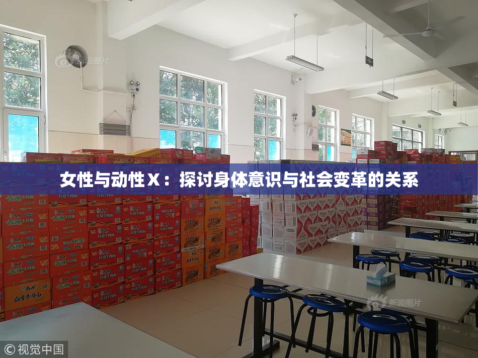 女性与动性Ⅹ：探讨身体意识与社会变革的关系