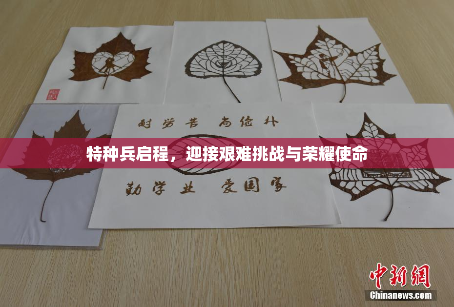 特种兵启程，迎接艰难挑战与荣耀使命