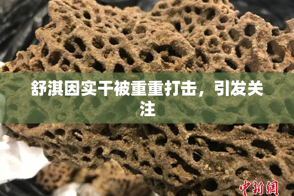 舒淇因实干被重重打击，引发关注