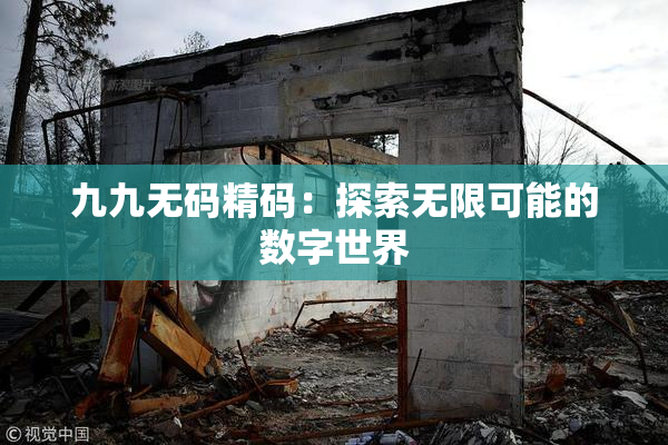 九九无码精码：探索无限可能的数字世界
