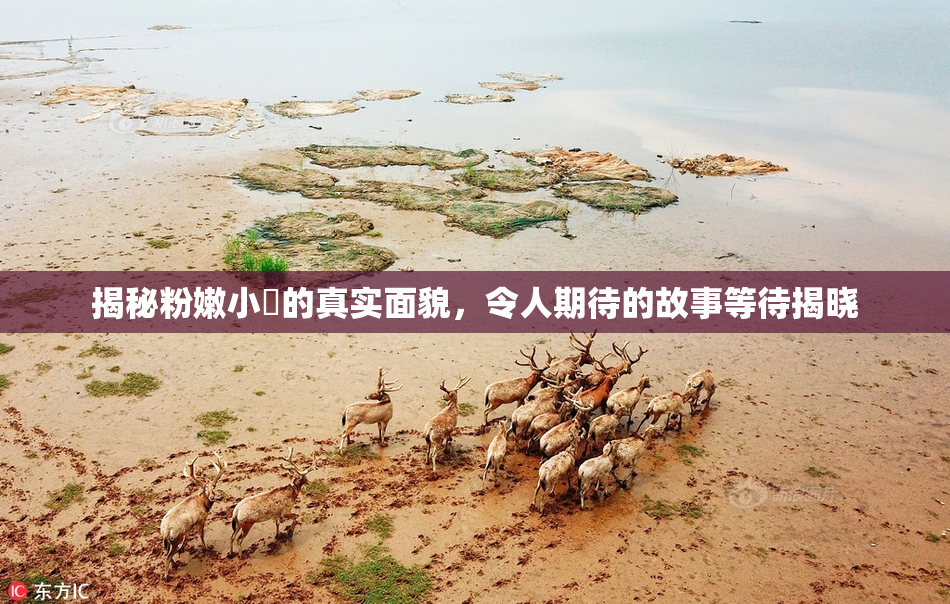 揭秘粉嫩小泬的真实面貌，令人期待的故事等待揭晓