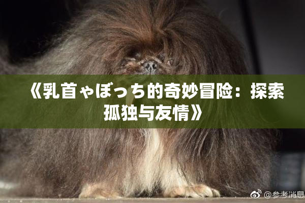 《乳首ゃぼっち的奇妙冒险：探索孤独与友情》