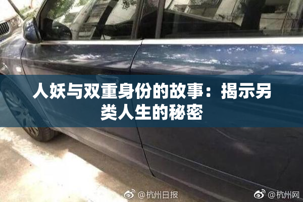 人妖与双重身份的故事：揭示另类人生的秘密