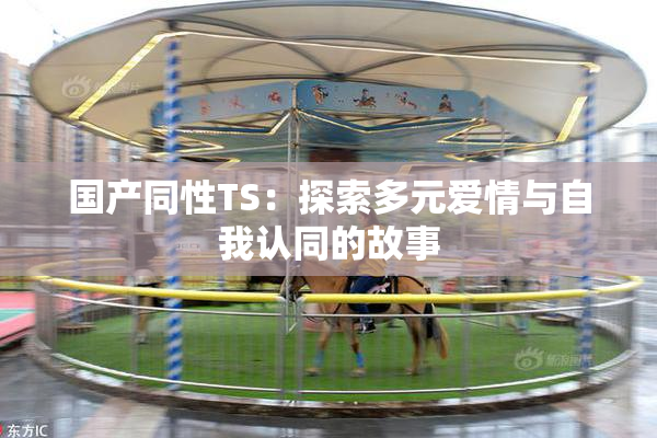 国产同性TS：探索多元爱情与自我认同的故事