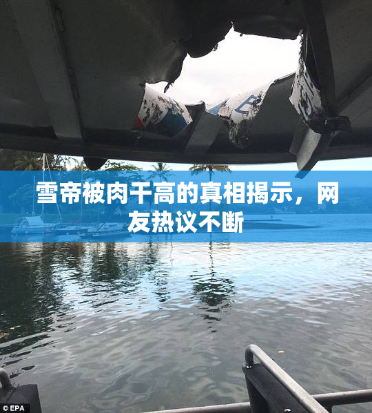 雪帝被肉干高的真相揭示，网友热议不断