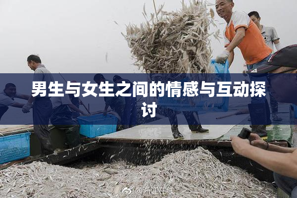 男生与女生之间的情感与互动探讨