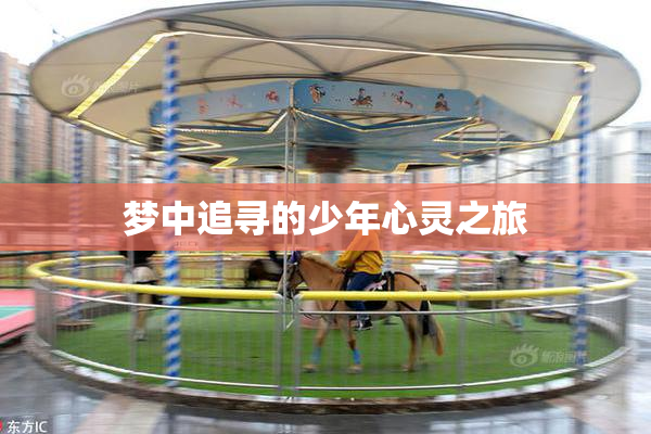 梦中追寻的少年心灵之旅