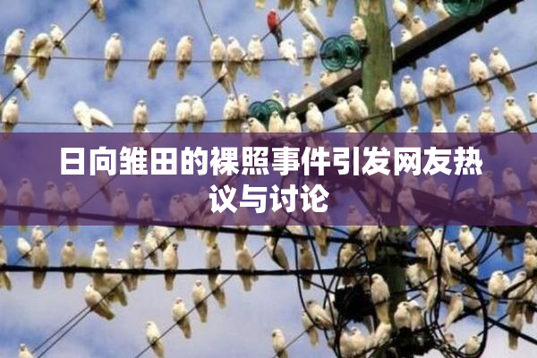 日向雏田的裸照事件引发网友热议与讨论