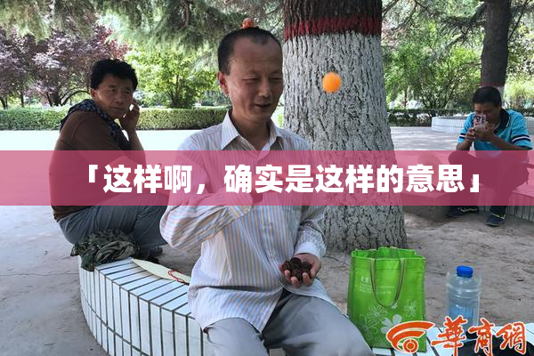 「这样啊，确实是这样的意思」