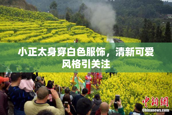 小正太身穿白色服饰，清新可爱风格引关注